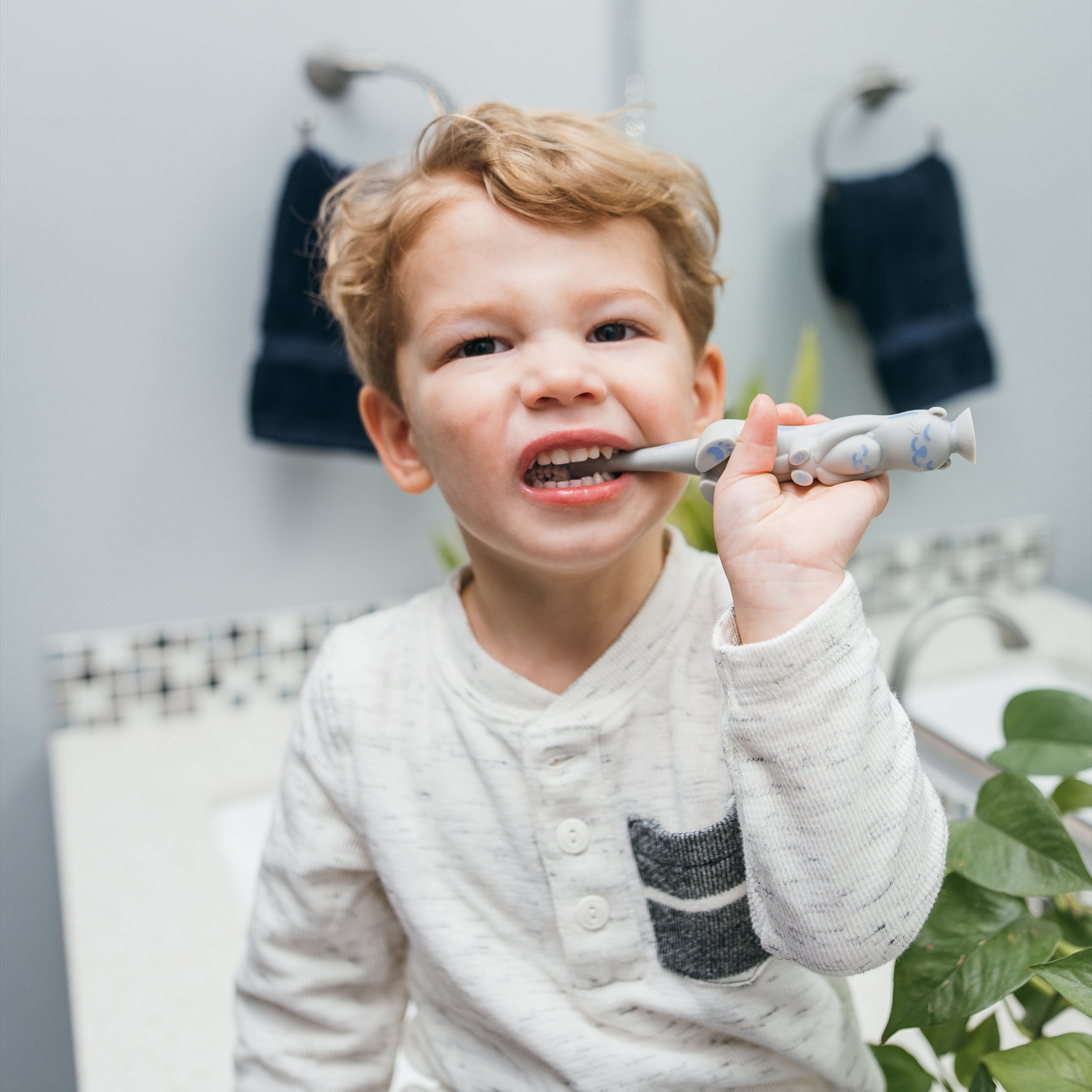 Dr. Brown's Toddler Toothbrush - Otter