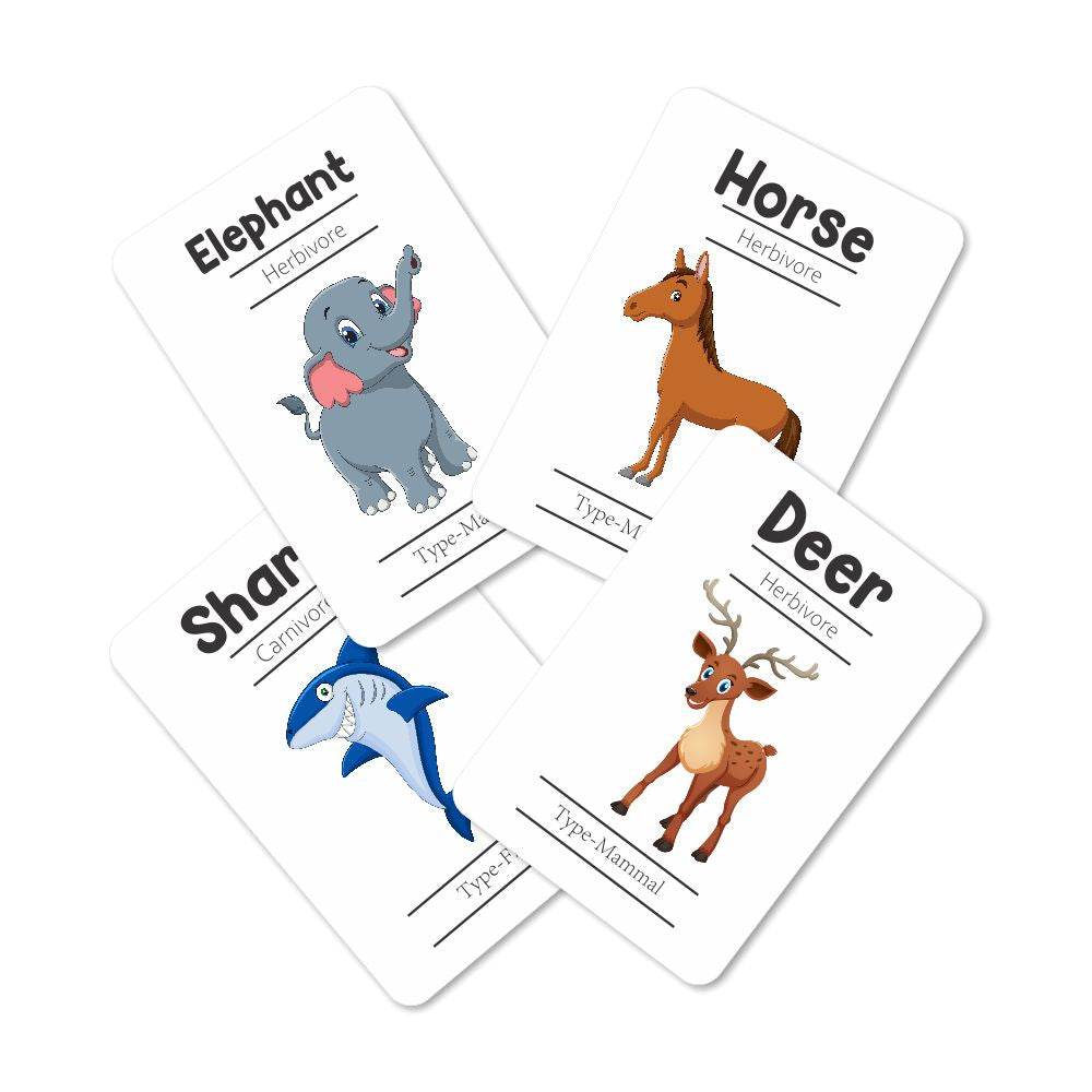 Animals Flash Cards - Pack of 24