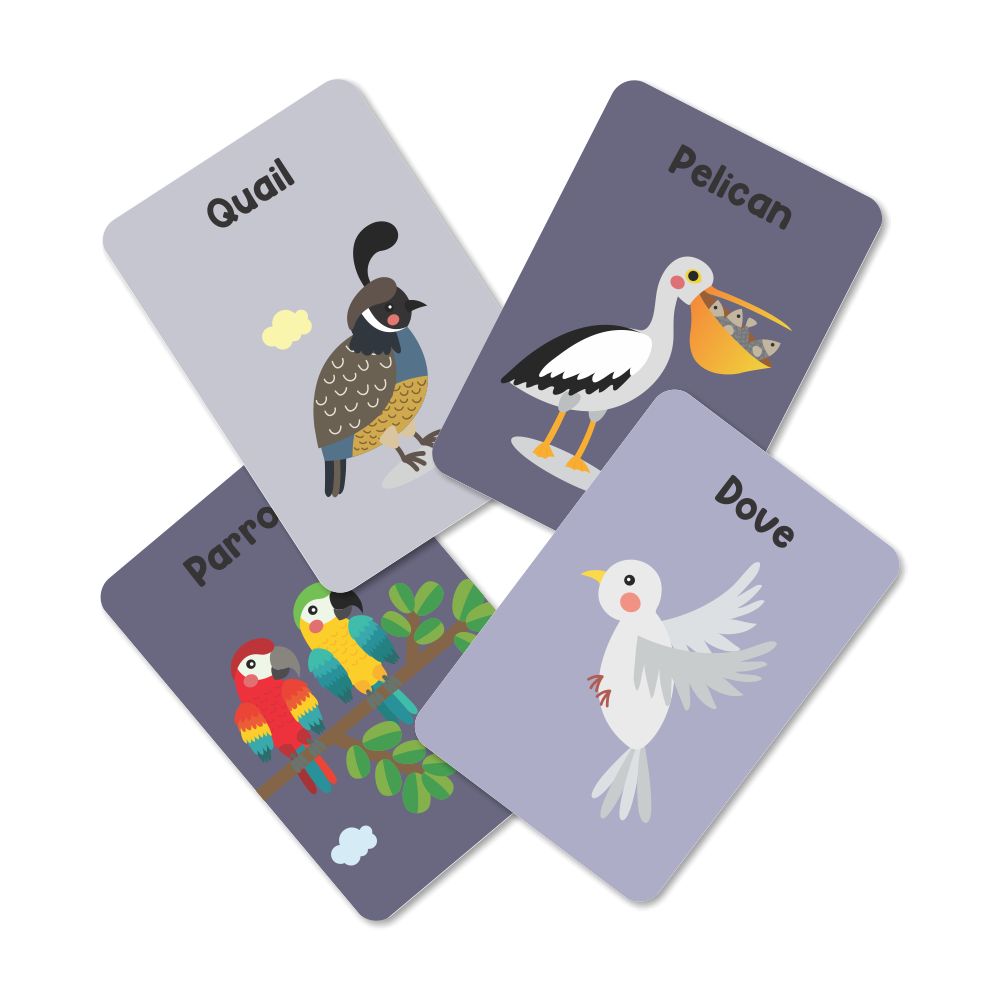 Birds Flash Cards For Kids- Pack of 24