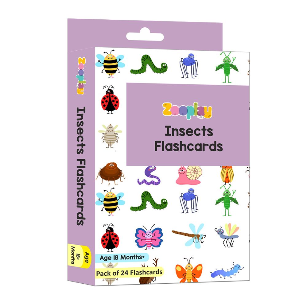 Insects & Other Small Animals Flashcards - Pack of 24