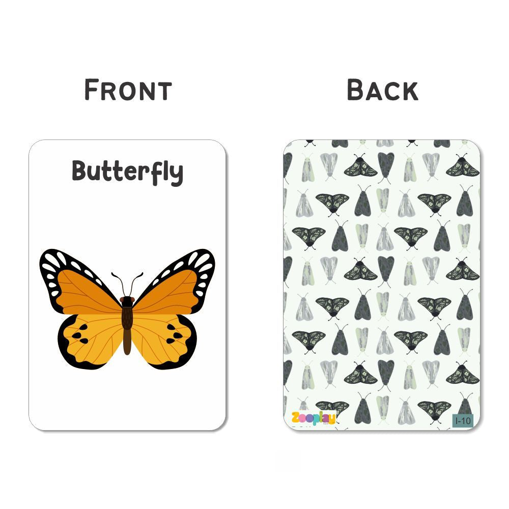 Insects & Other Small Animals Flashcards - Pack of 24