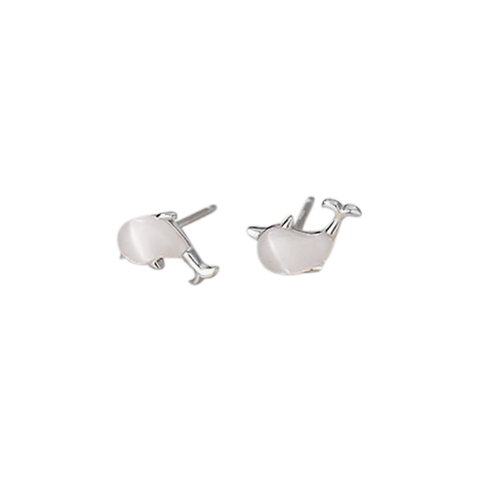 Studded Dolphin Earrings- Little's & More 2023 Collection - White Gold Plating