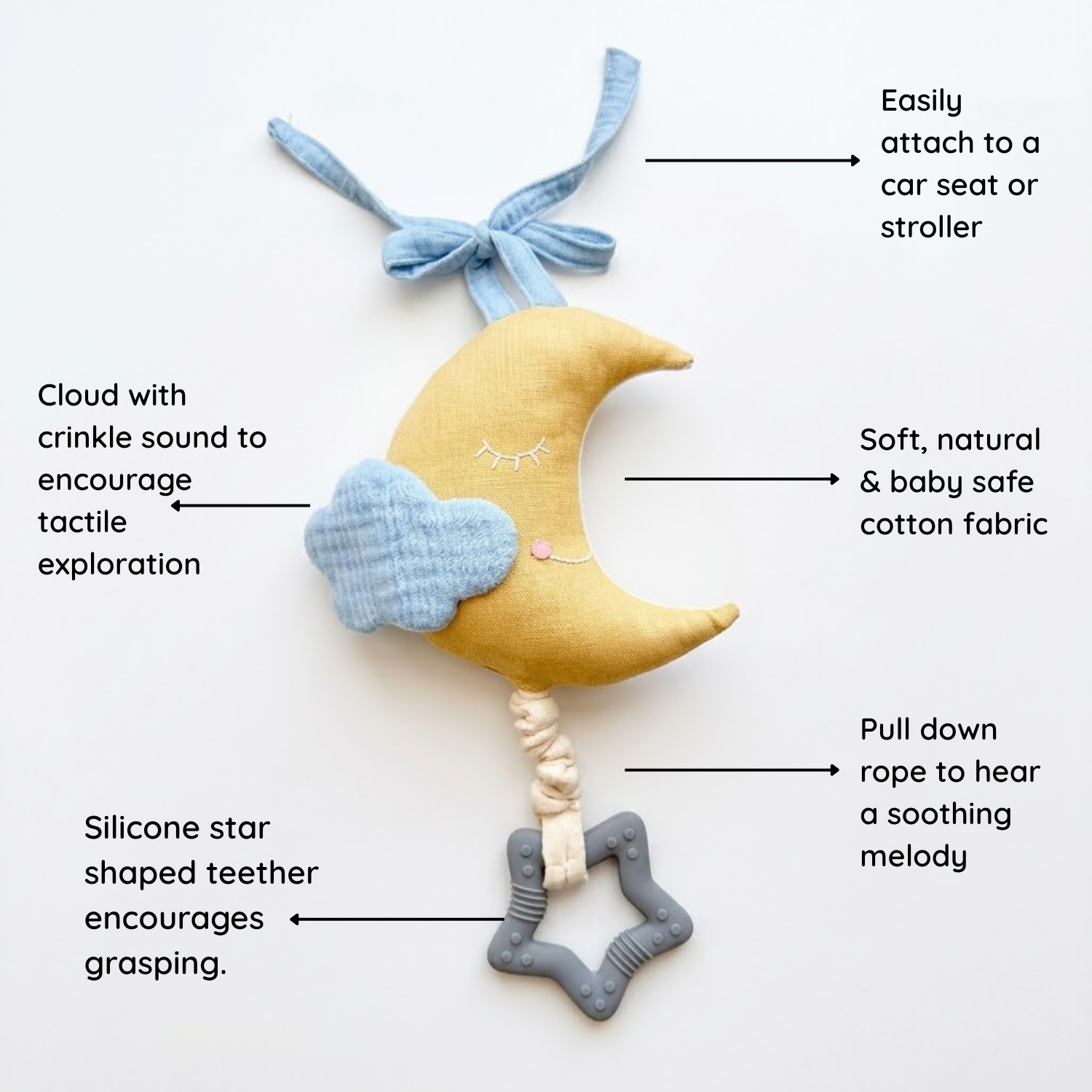 Musical Pull Toy