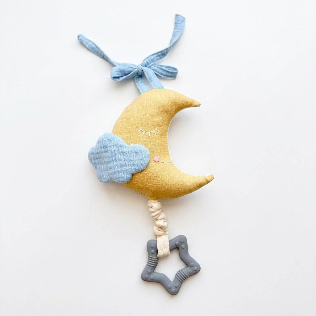 Musical Pull Toy