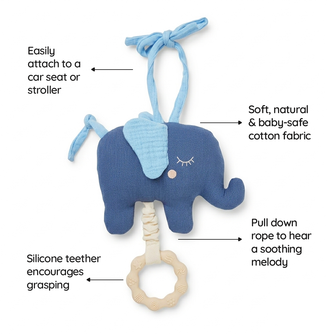Musical Pull Toy