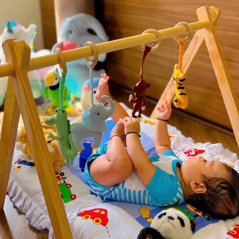 Baby Nursery Play Gym