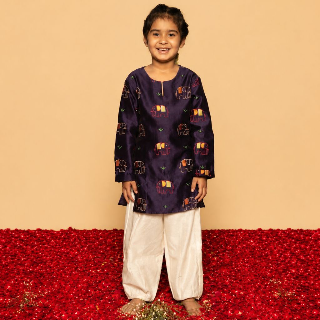 Chanderi Salwar Kurta Set | Embroidered
