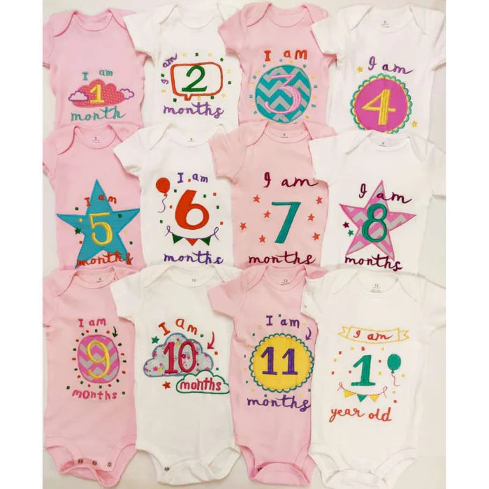 Hand Embroidered Milestone Romper Set of 12