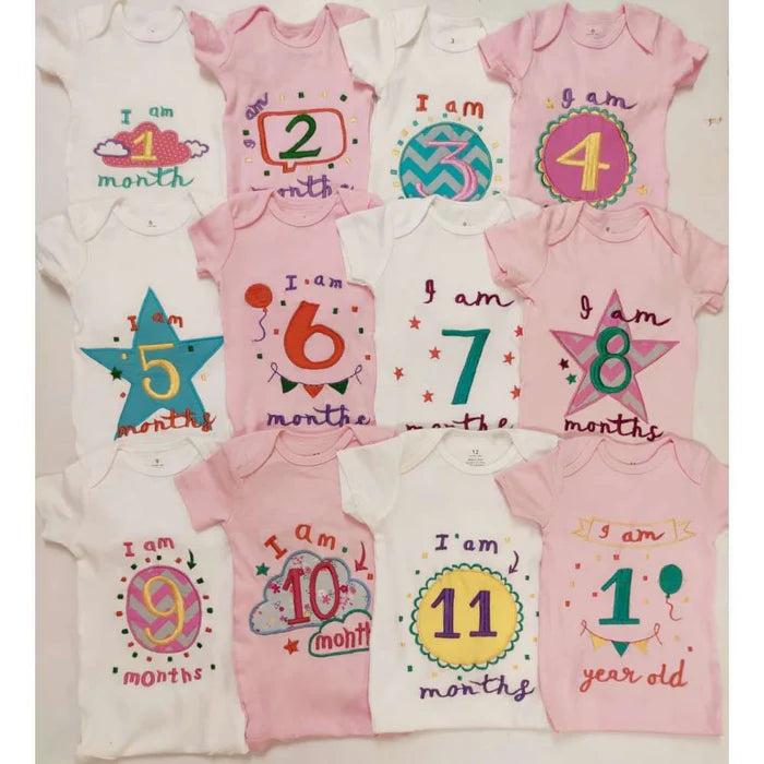 Hand Embroidered Milestone Romper Set of 12
