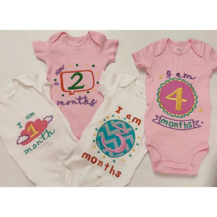 Hand Embroidered Milestone Romper Set of 12