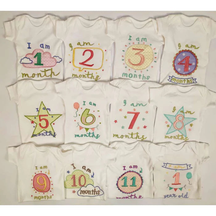 Hand Embroidered Milestone Romper Set of 12
