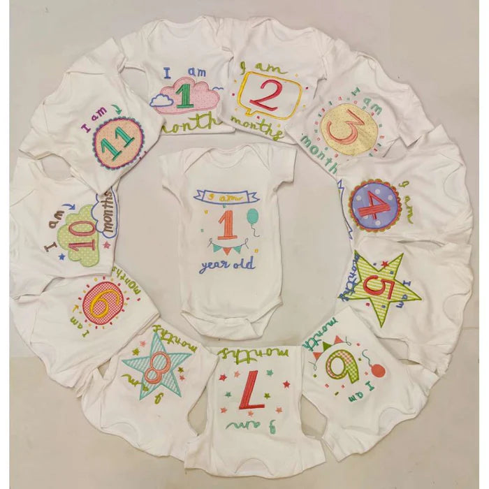 Hand Embroidered Milestone Romper Set of 12