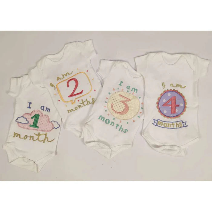 Hand Embroidered Milestone Romper Set of 12