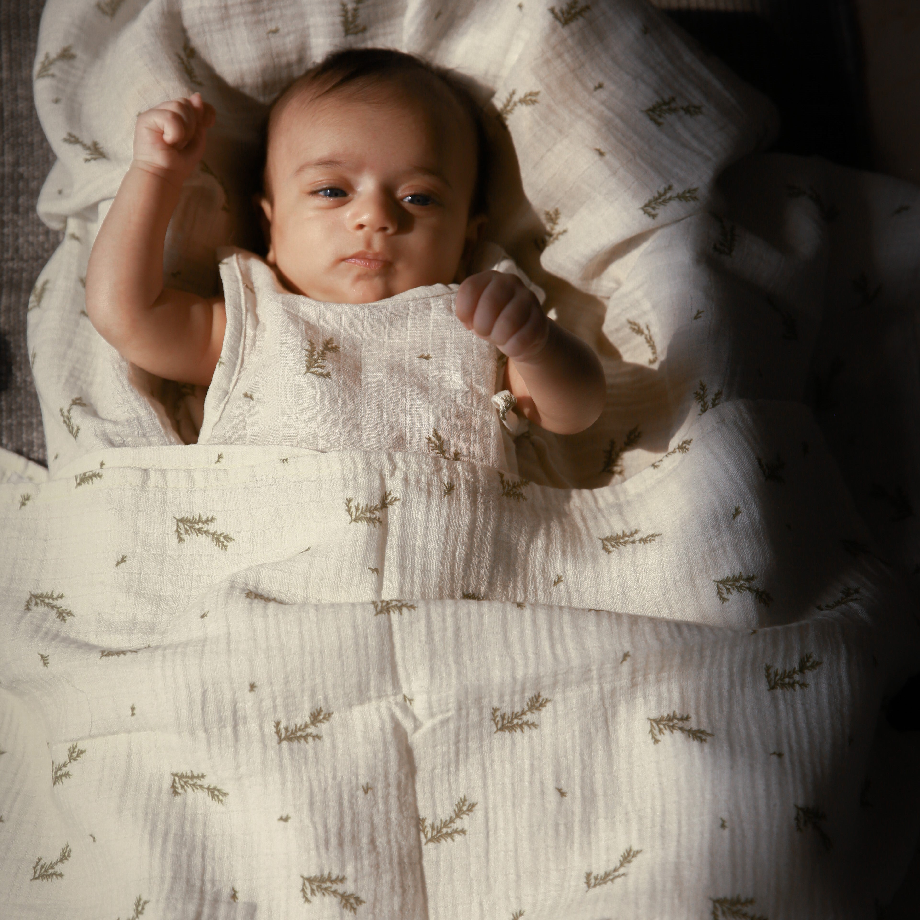 Dulaar Organic Muslin Jhabla (Set of 3) - Green Zen + The Sparrow and Flower + Just Lion Around