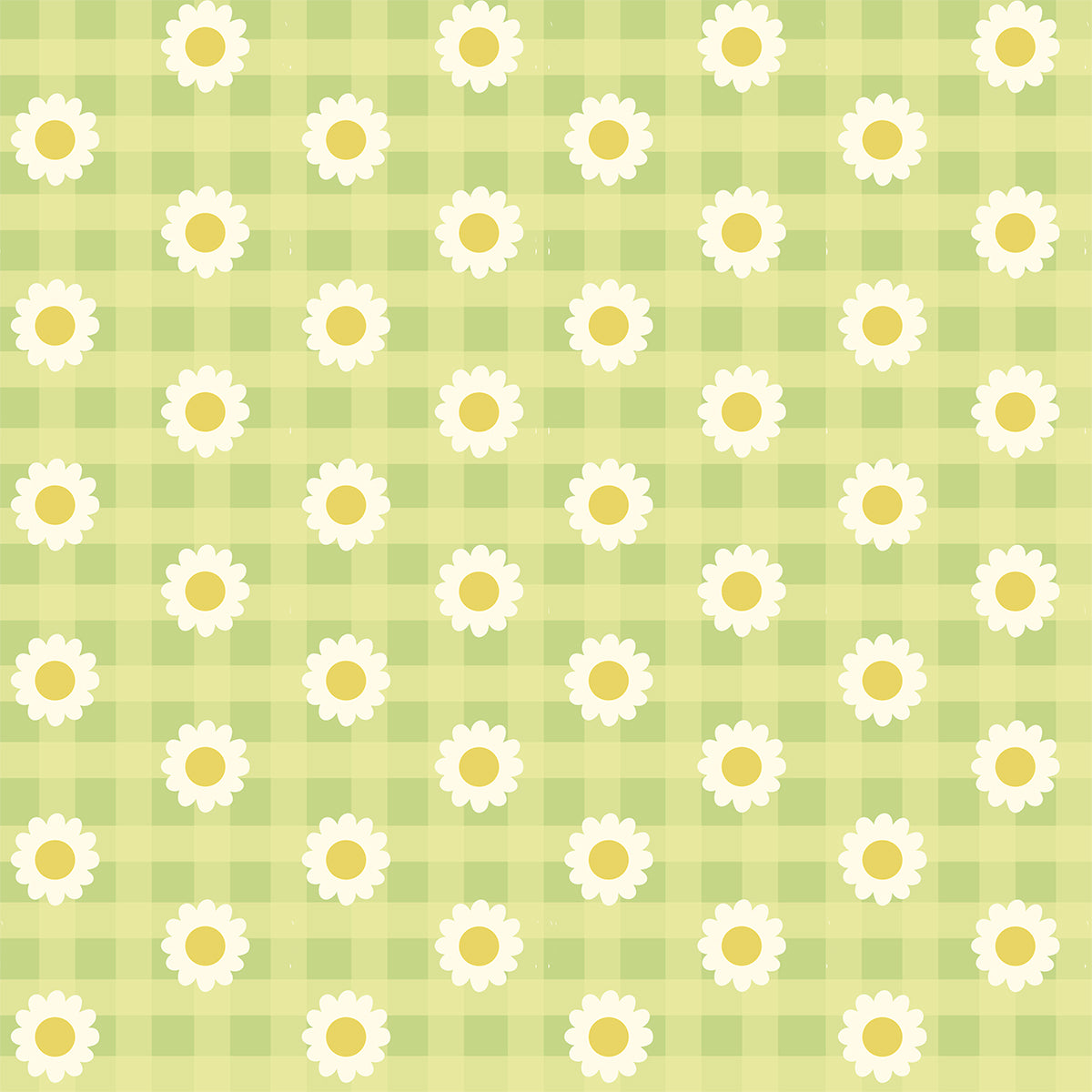 Girls Co-Ord Set- Ghingham