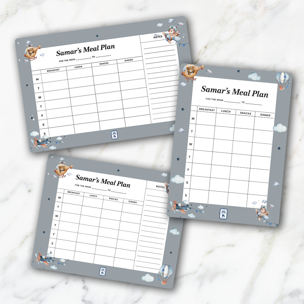 Teddy's Flight Kids Meal Planner