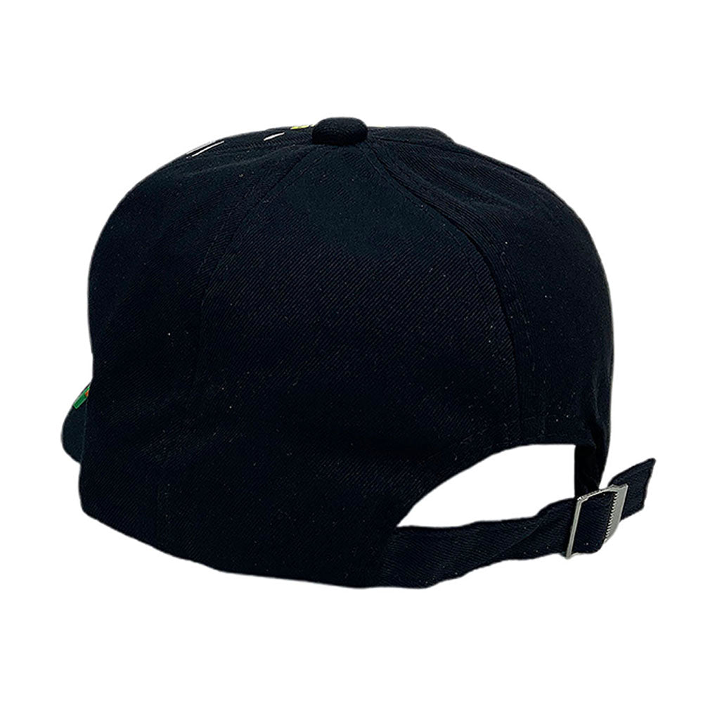 Little Surprise Box, Black 3d Super Dino Casual Cap for Kids