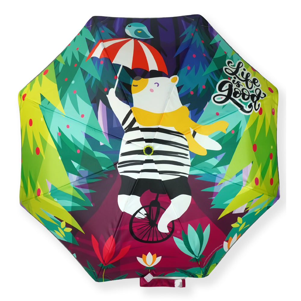 Little Surprise Box, 3 fold KellyJo & Starsy Rain & All Season Umbrella for Kids