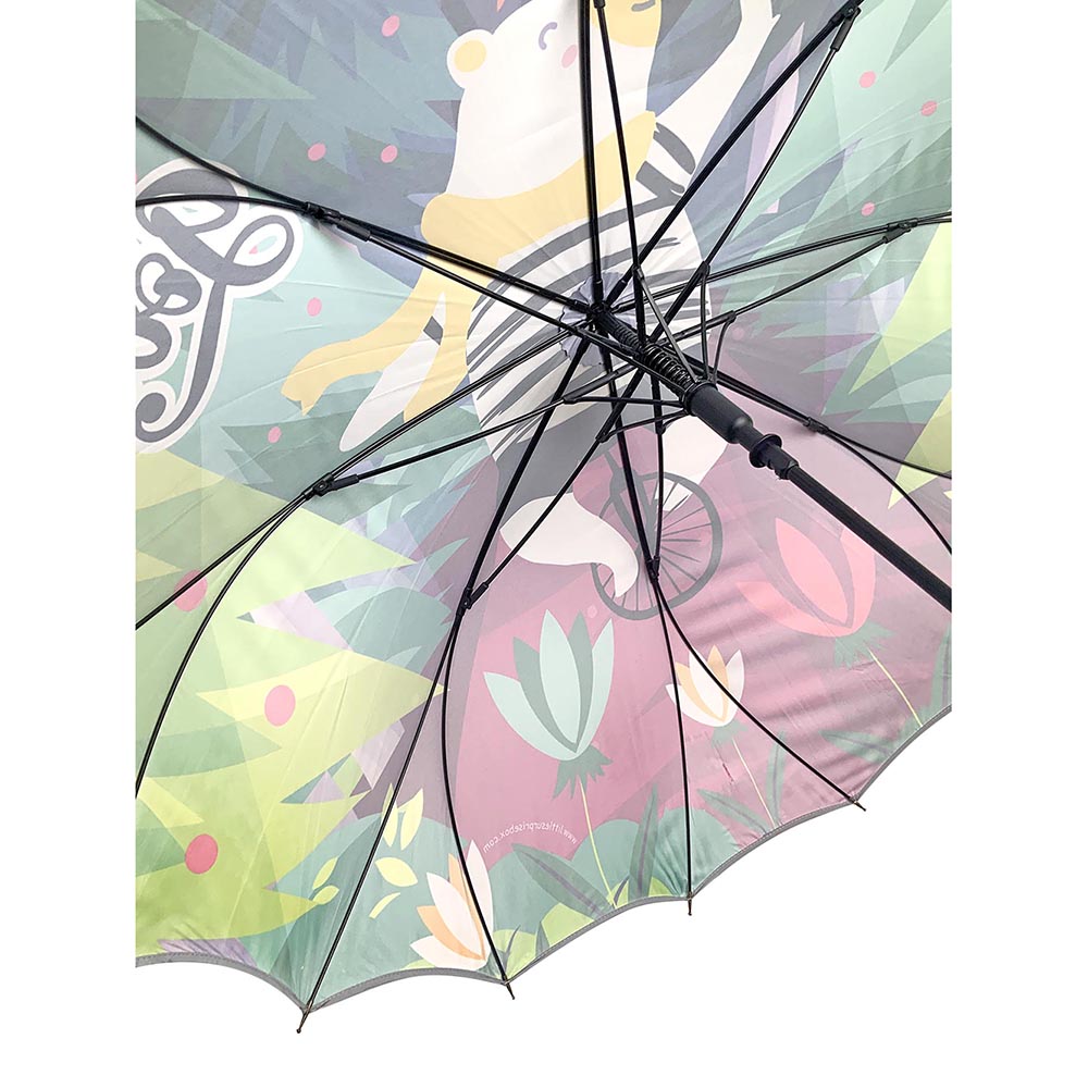 Little Surprise Box, KellyJo & Starsy Rain & All Season Umbrella for Teens and Adults