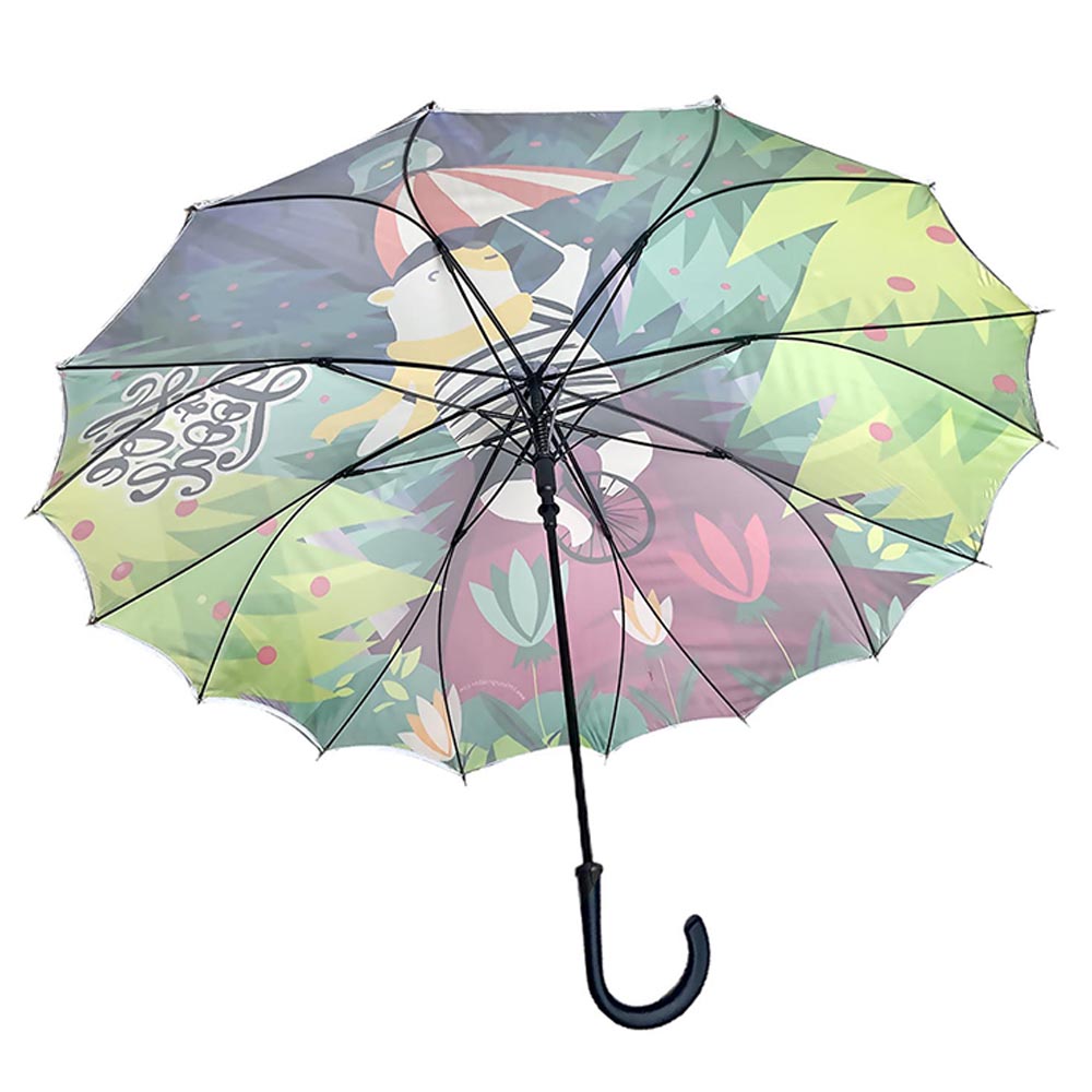 Little Surprise Box, KellyJo & Starsy Rain & All Season Umbrella for Teens and Adults