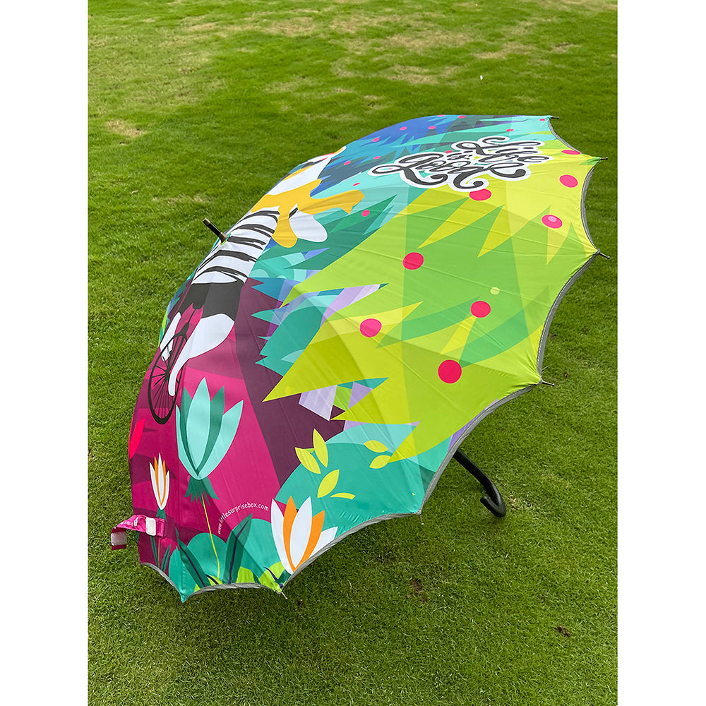 Little Surprise Box, KellyJo & Starsy Rain & All Season Umbrella for Teens and Adults