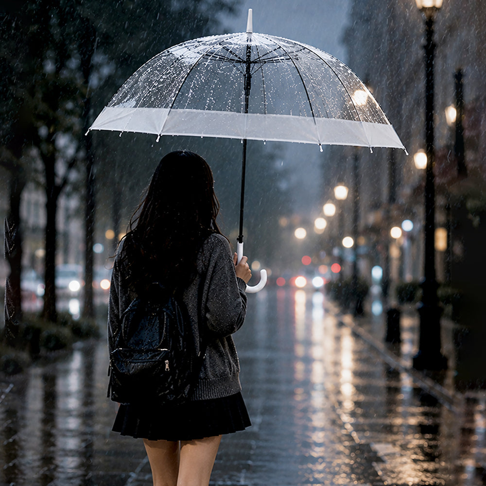 Big Border Transparent Umbrella