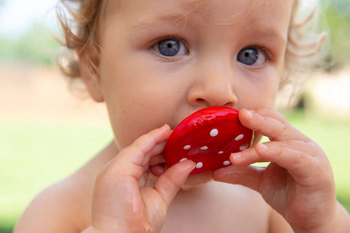 Oli & Carol Natural Rubber Teether