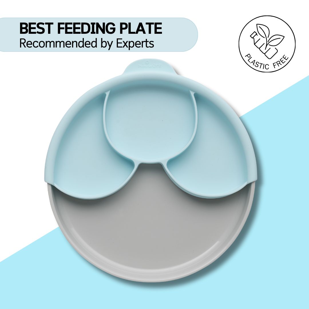 Miniware Healthy Meal Suction Plate with Dividers Set - Grey/Aqua