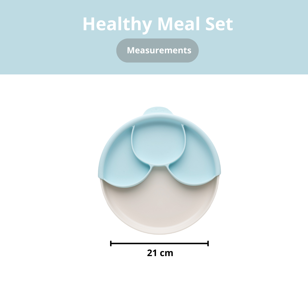 Miniware Healthy Meal Suction Plate with Dividers Set, Aqua