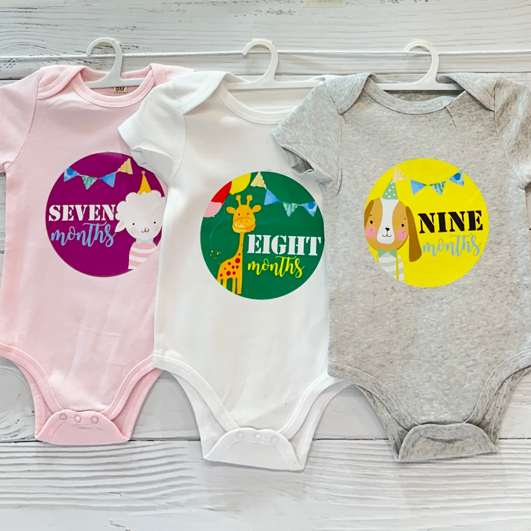 Milestone Memento Romper (Set of 12)