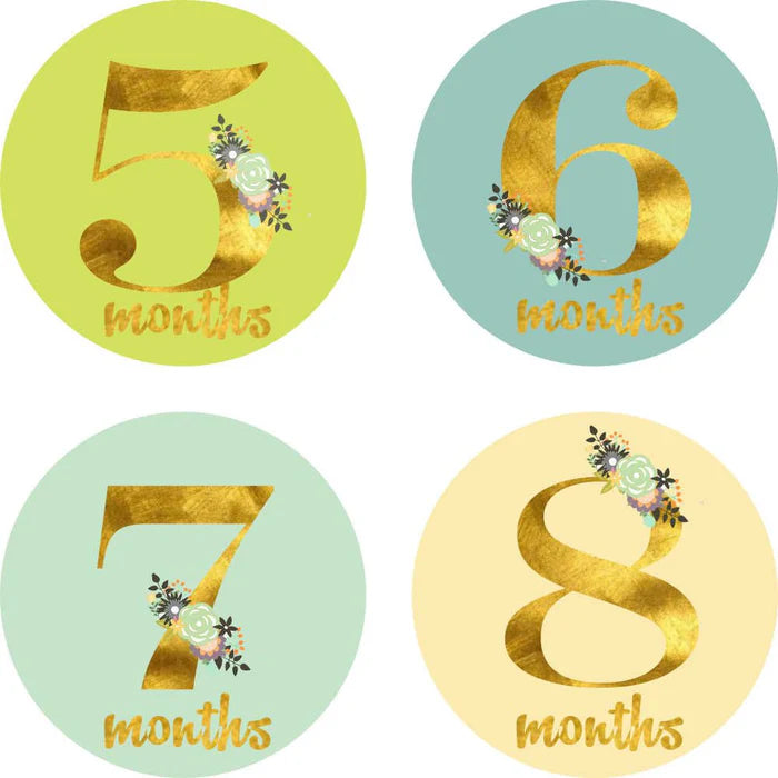 Monthly Milestone Stickers
