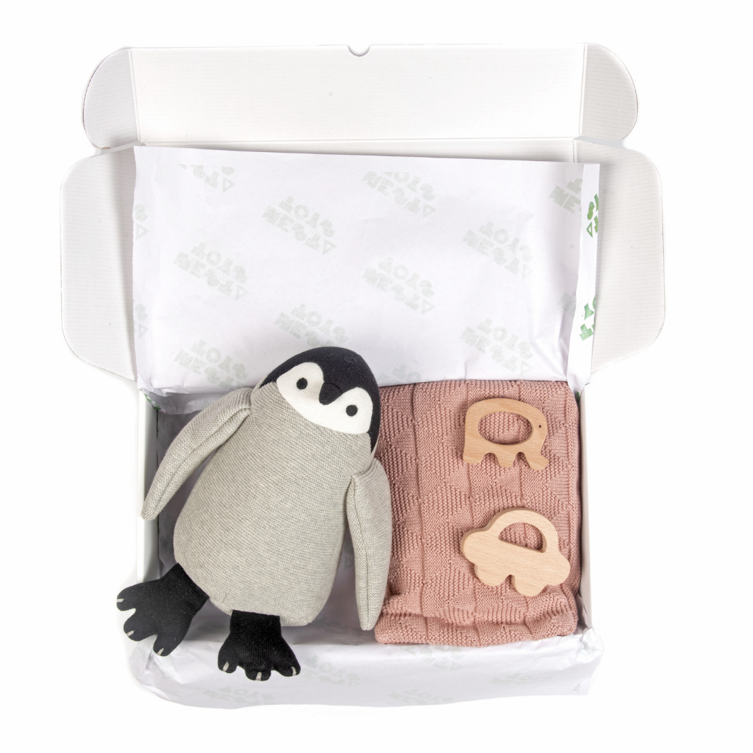 Nesta Toys -Newborn Gift Set - Knitted Cotton Blanket, Penguin Plush Toy, Elephant & Car Teether