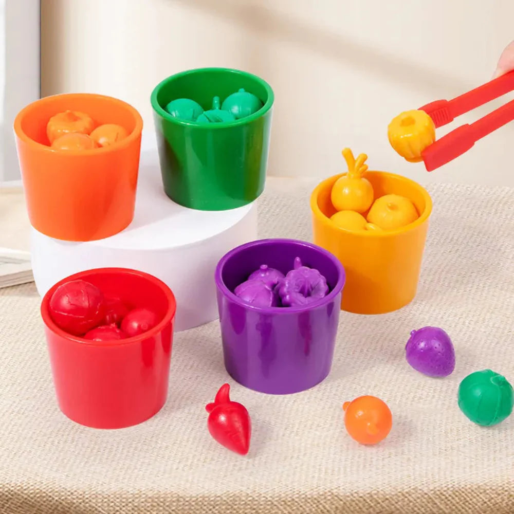 Open Ended Fruit Sorting Cups-Kids Games-Open Ended-Toycra