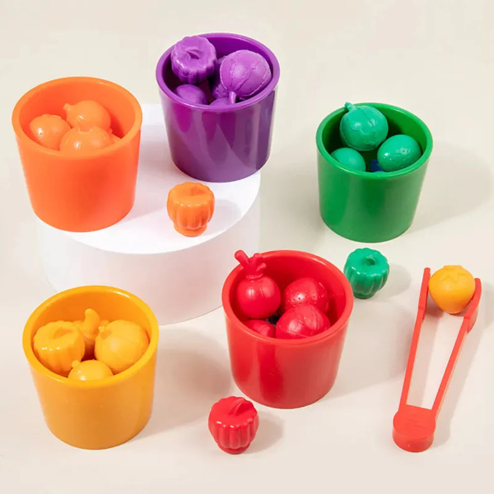 Open Ended Fruit Sorting Cups-Kids Games-Open Ended-Toycra