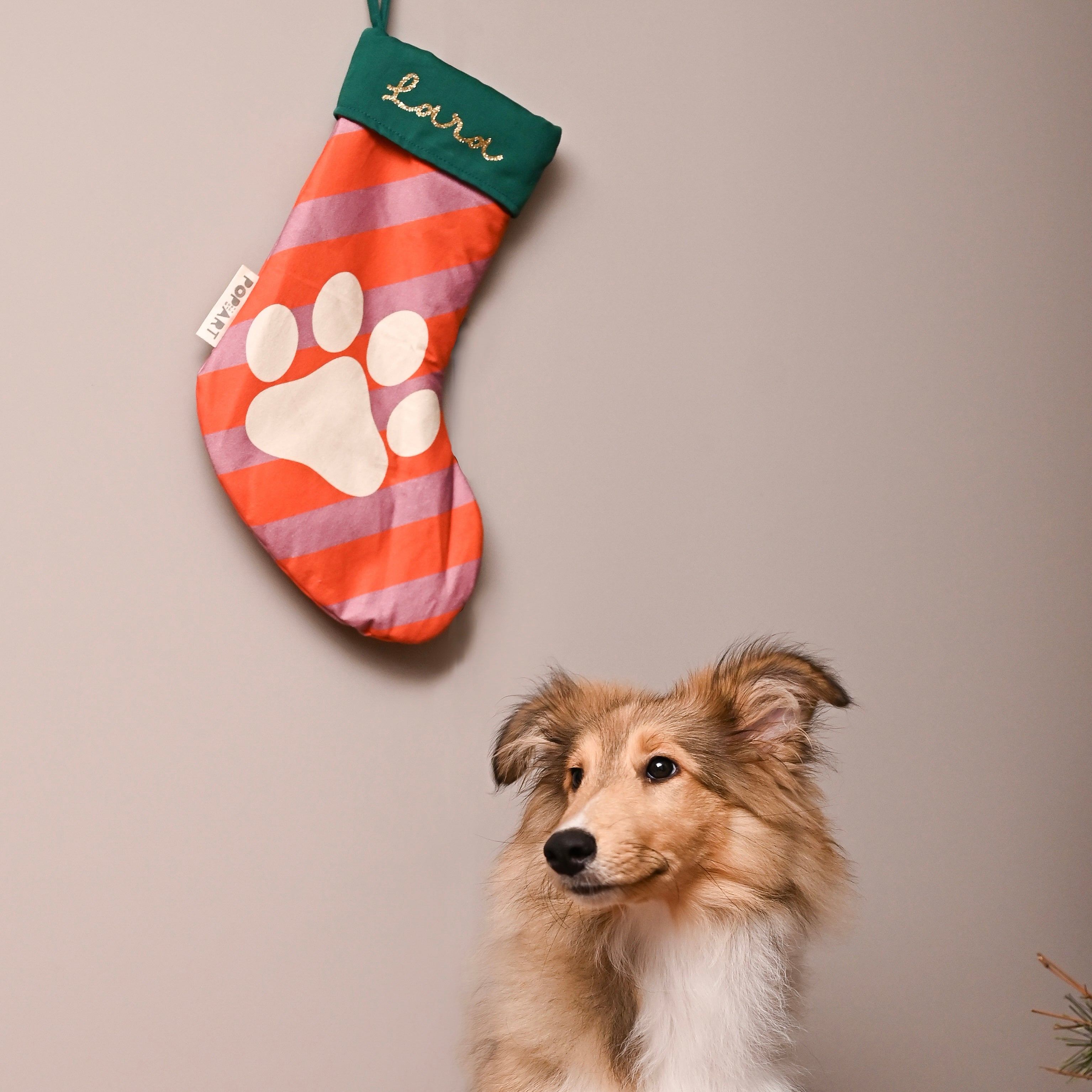 Personalised Stocking - Pet