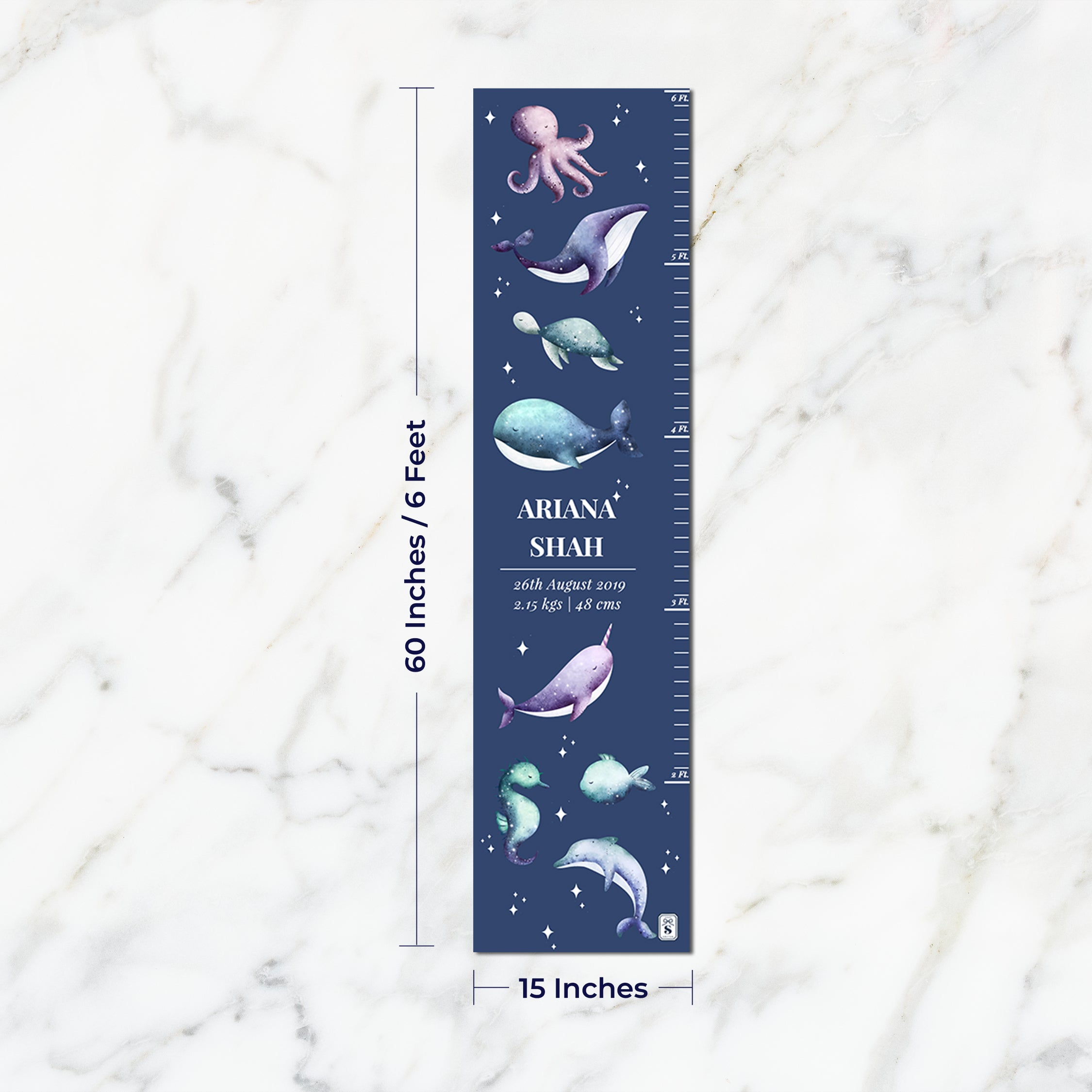 Midnight Ocean Height Chart - Spruce Navy