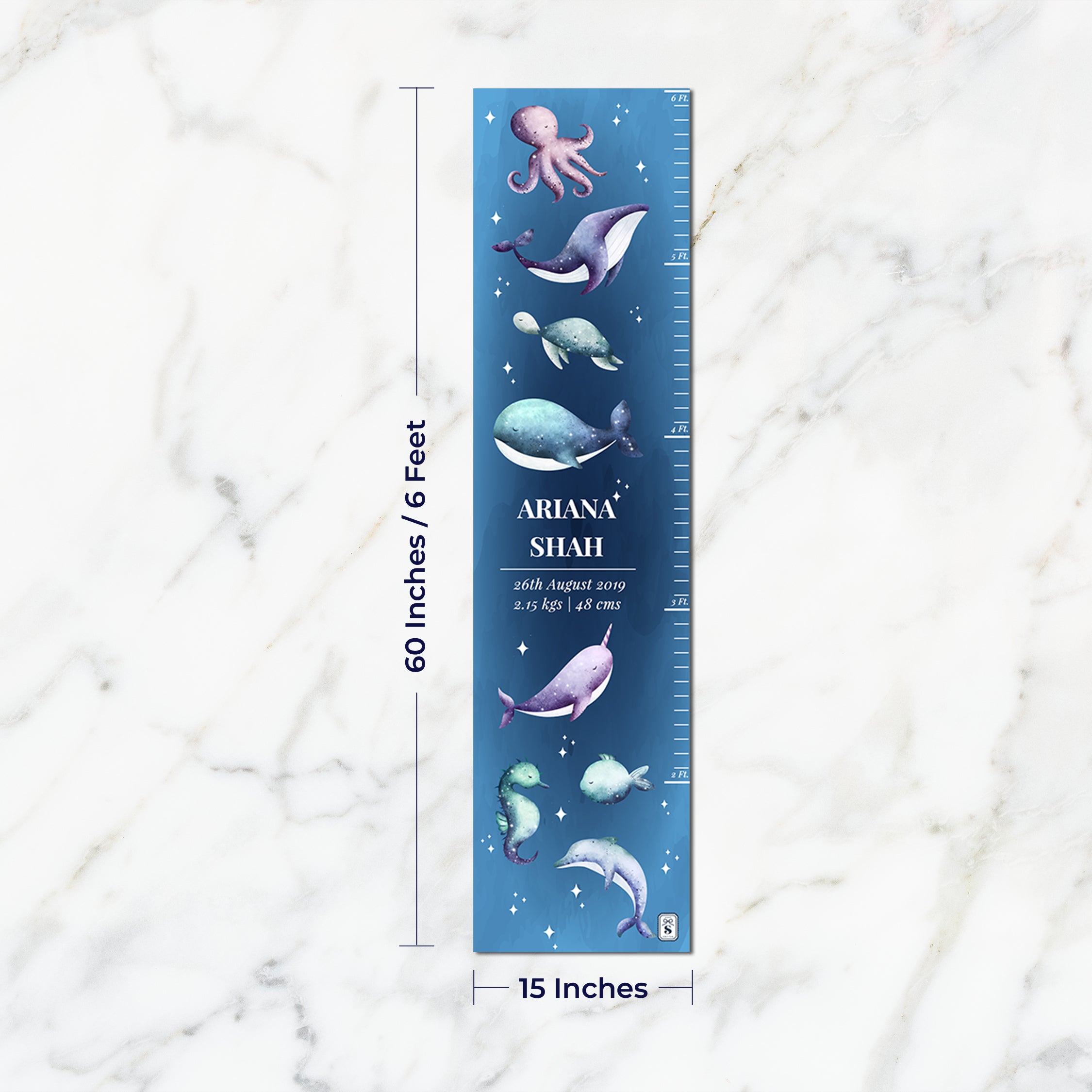 Midnight Ocean Height Chart - Navy Gradient