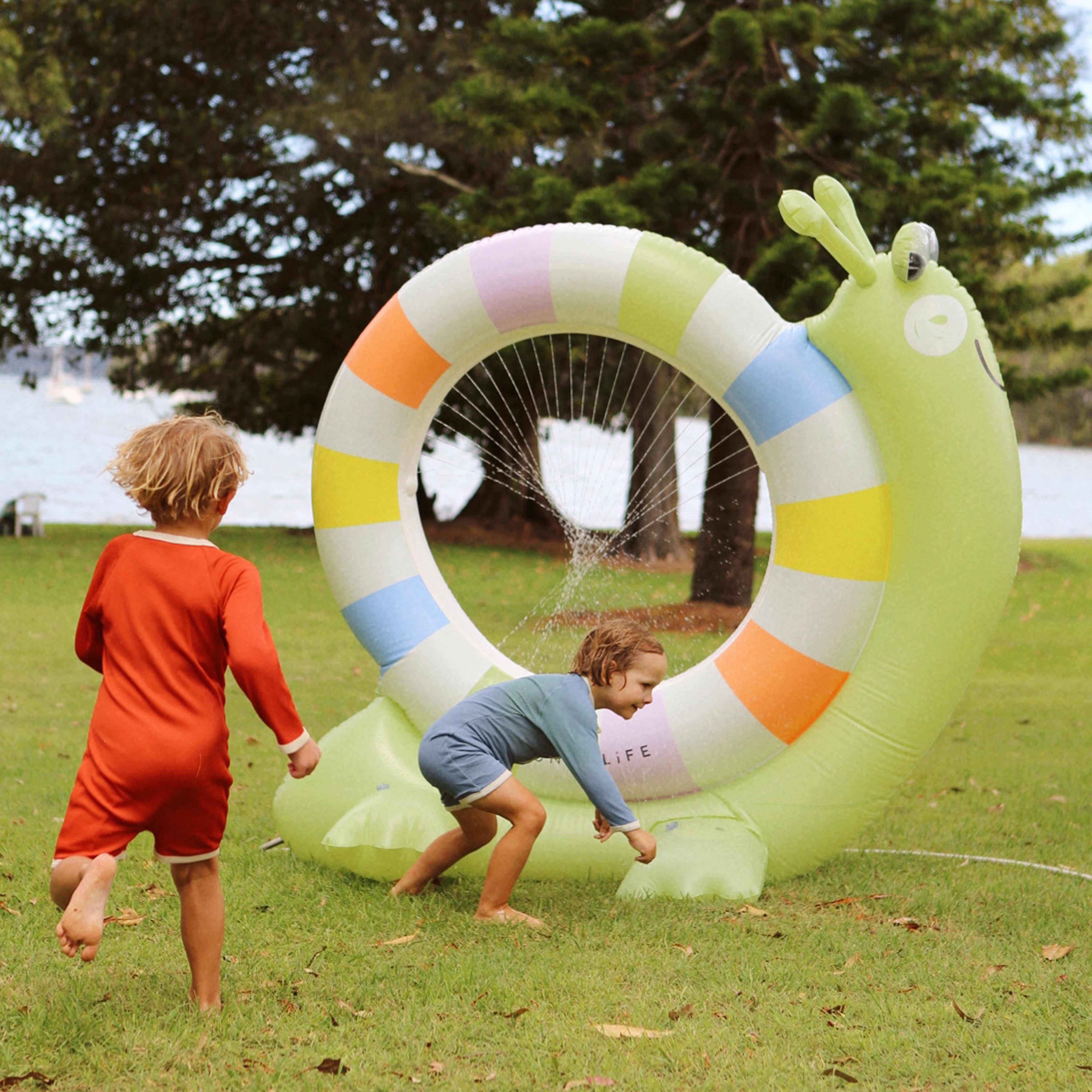 Snail Giant Sprinkler Into The Wild Multi