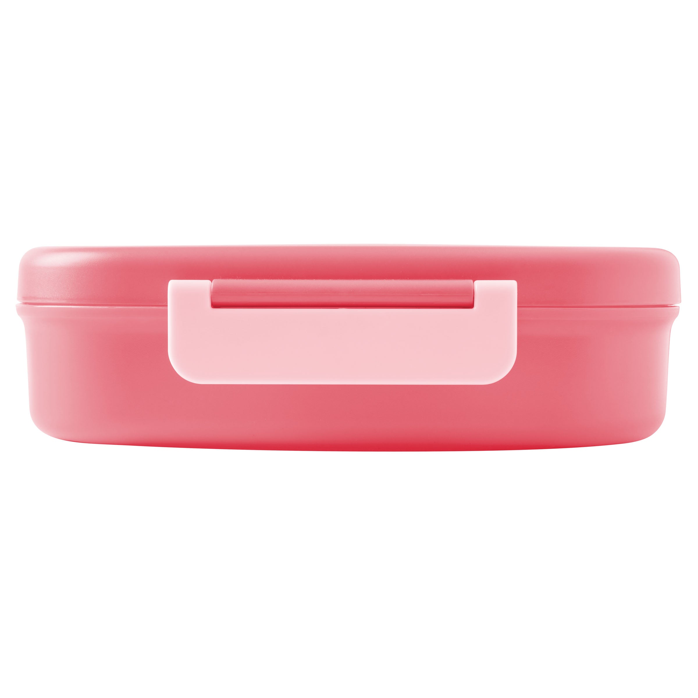 Bento Box With Removable Tray