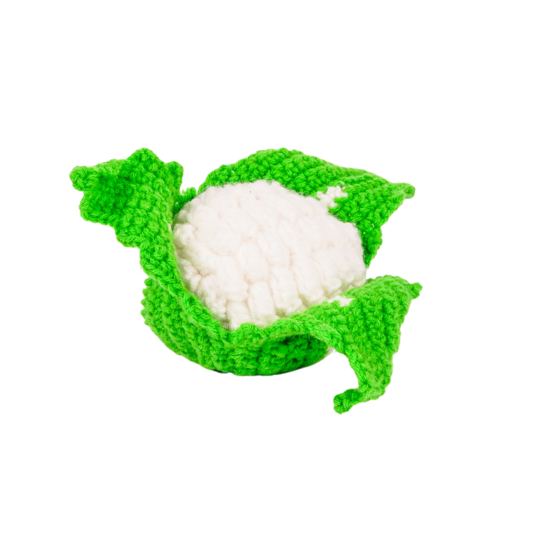 NESTA TOYS Crochet Vegetable Toys | Pretend Play Plush Toys for Kids | Stuffed Toys for Babies (5 Pcs)