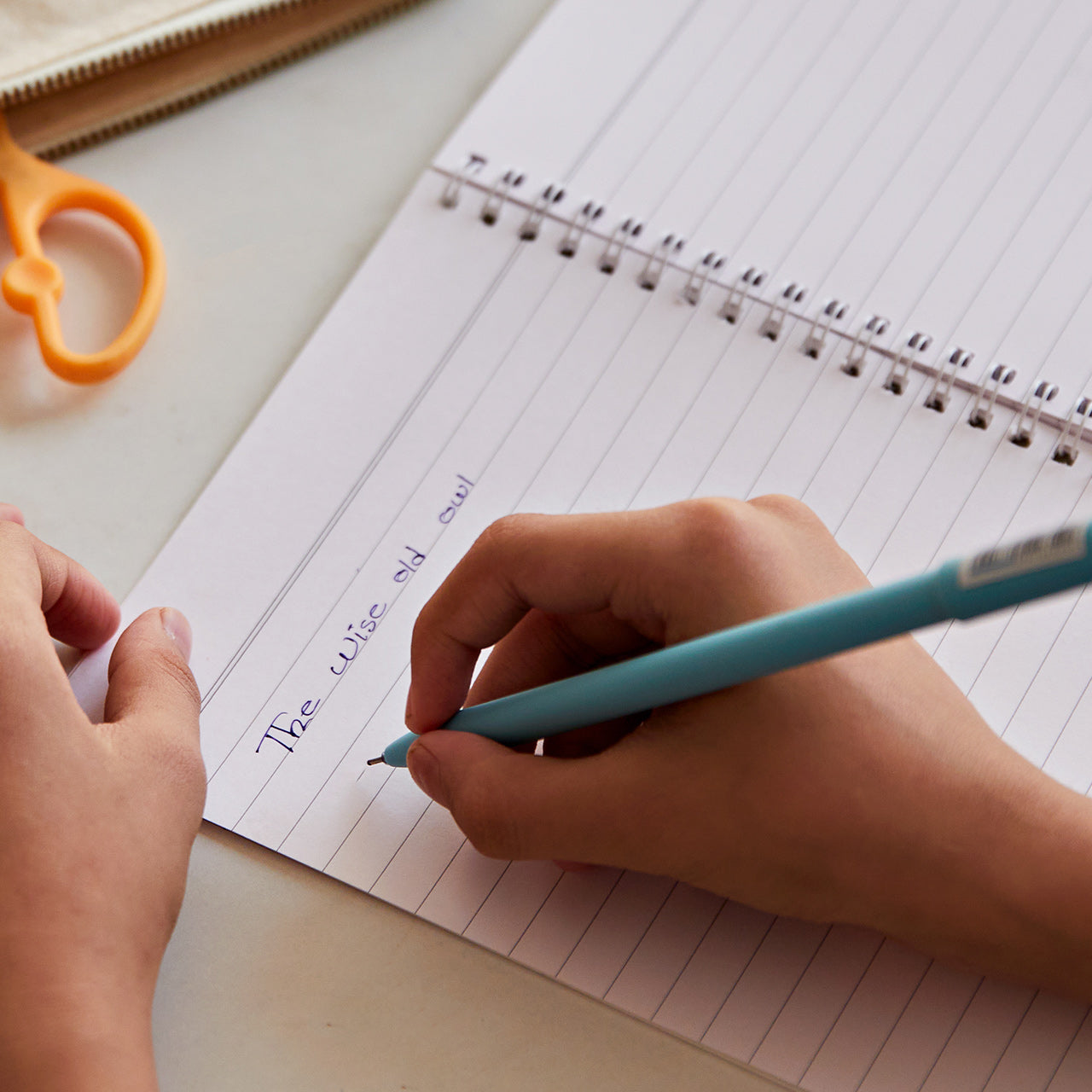 Personal Spiral Notebook - Animal Circus