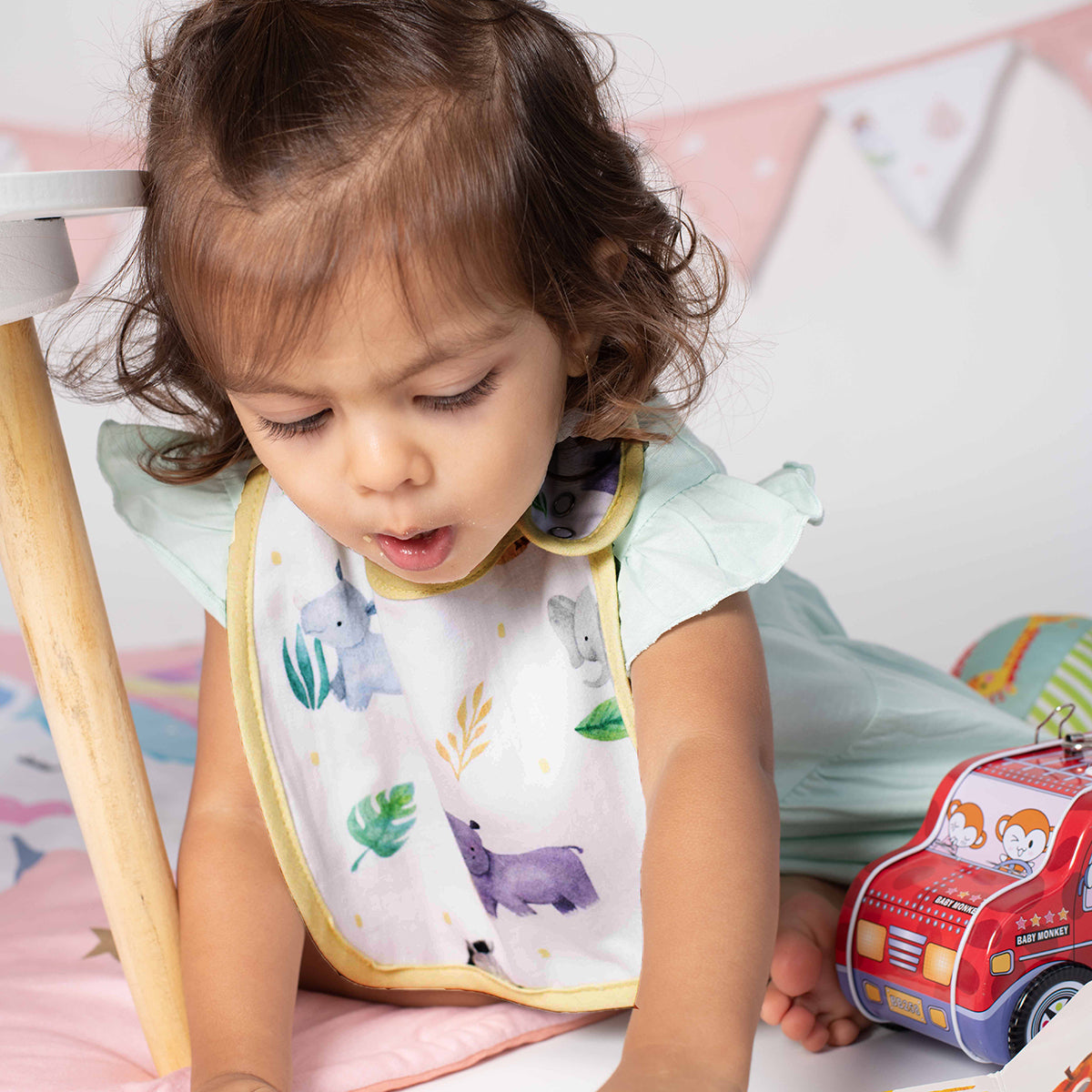 Tiny Snooze Organic Bibs (Set of 2)