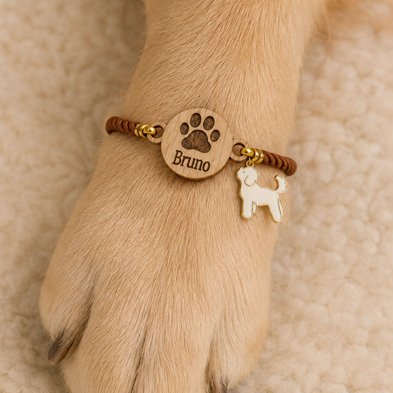 Loyal Bond Rakhi (3)