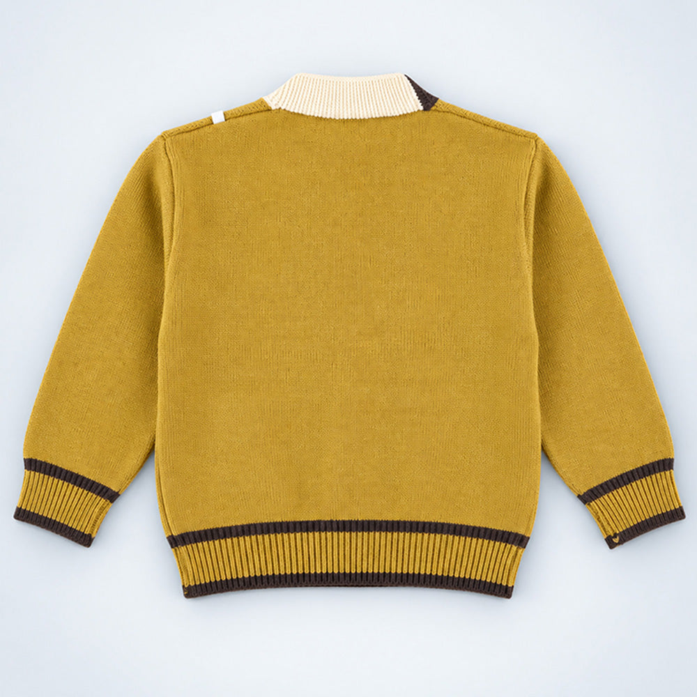 Little Surprise Box, Olive Yellow V-Neck Puppy Pocket V Neck Winter Cardigan Sweater for Kids