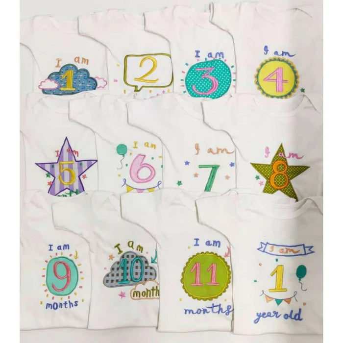 Hand Embroidered Milestone Romper Set of 12