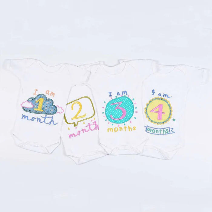 Hand Embroidered Milestone Romper Set of 12