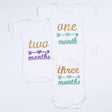 Hand Embroidered Milestone Romper Set of 12
