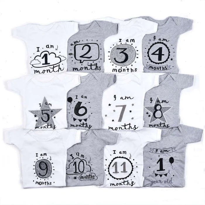 Hand Embroidered Milestone Romper Set of 12