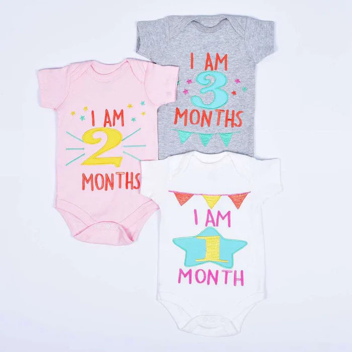 Hand Embroidered Milestone Romper Set of 12