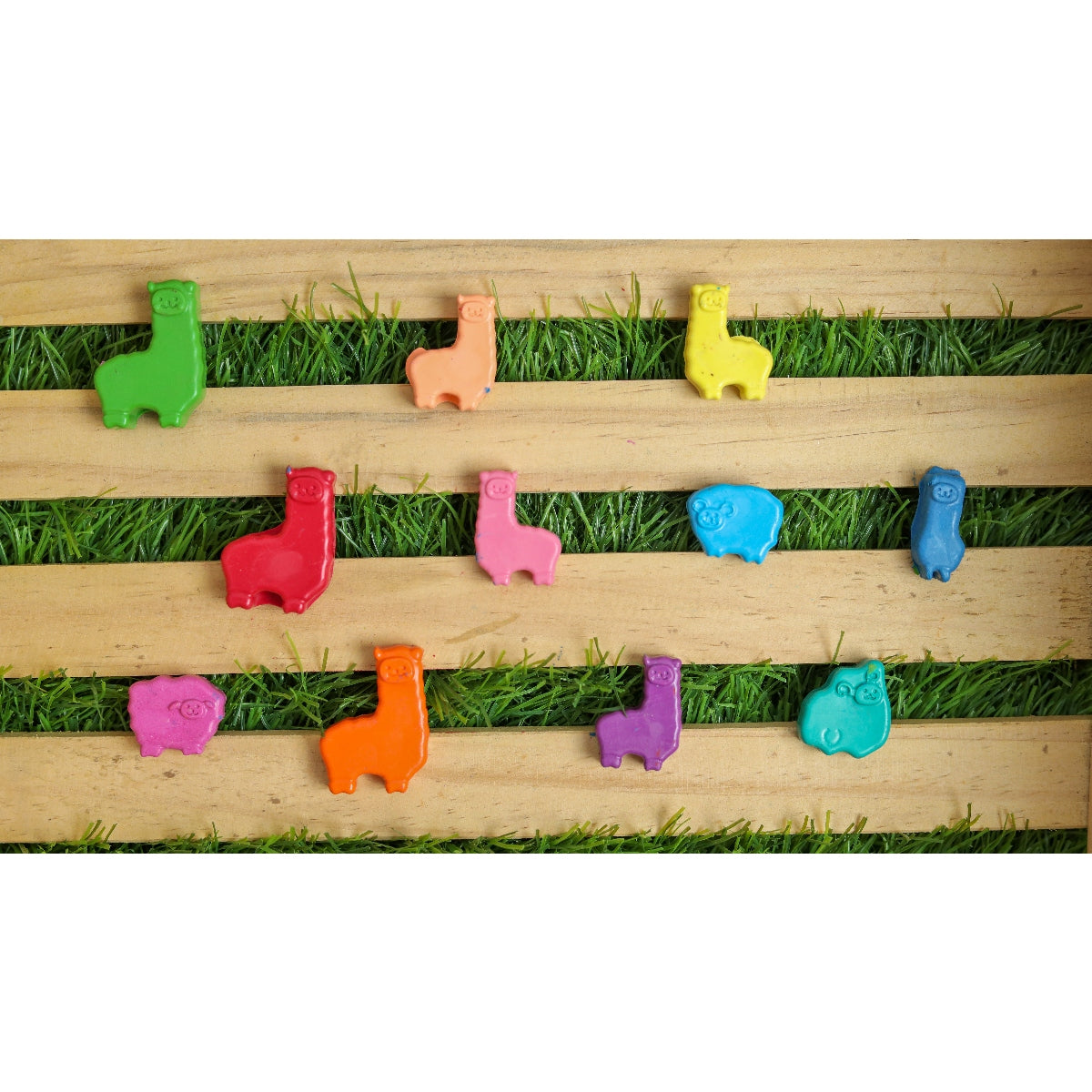 Mini Alpacas and Sheep Set of 8 Crayons